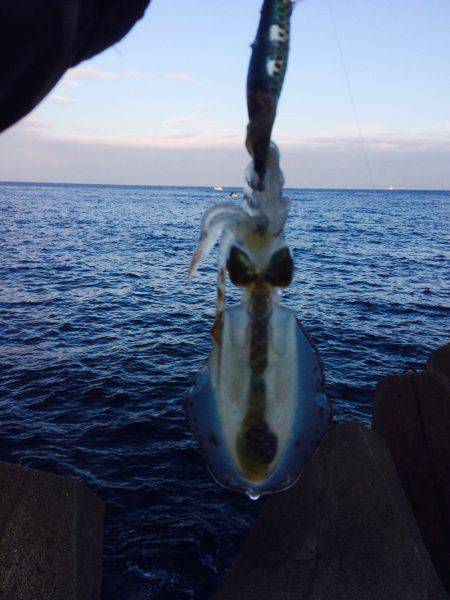 当たり日でした。