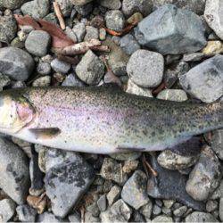 リヴァスポット早戸にて大物！