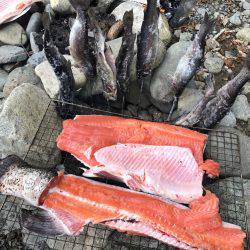 初めての河川管釣り