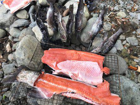 初めての河川管釣り