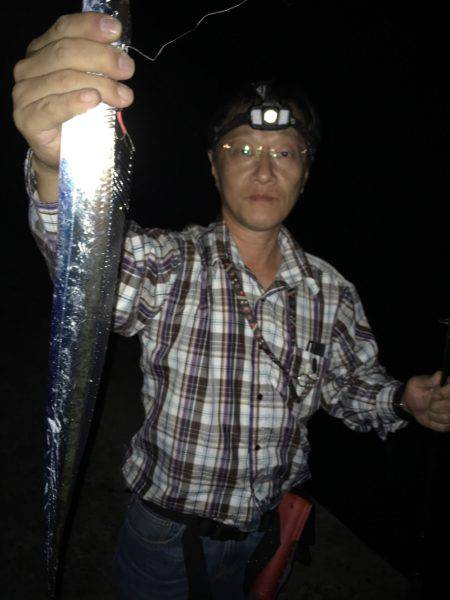 秋アオリイカ調査不発