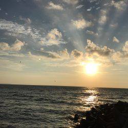 出勤前フィッシング！