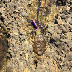 遠征でみなべなまで