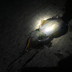 もう薄着では寒いですm(_ _)m