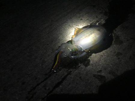 もう薄着では寒いですm(_ _)m