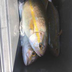 洲本港ショアジギ