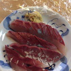 サビキ釣りの予定が…