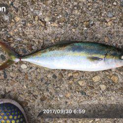 試合に勝って勝負に負け的な…サゴハマチ