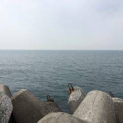 ショア&ゲッター