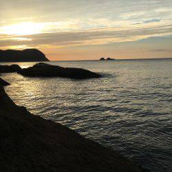 オオモンハタとアカハタ