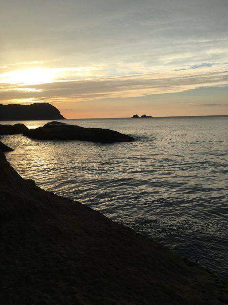 オオモンハタとアカハタ