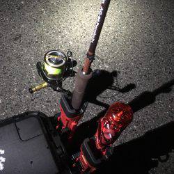 釣れたら帰ろう。