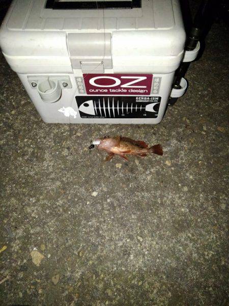 ガシリンクにはまってます!!