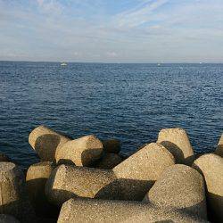 朝マズメ 楽しめました♪