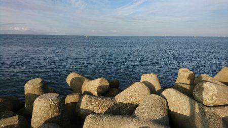 朝マズメ 楽しめました♪