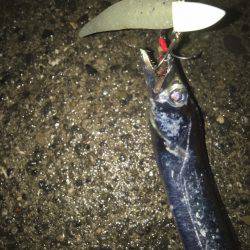 渋い時こそルミノーバ、間違いないです！！