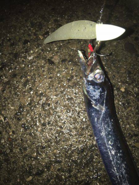 渋い時こそルミノーバ、間違いないです！！