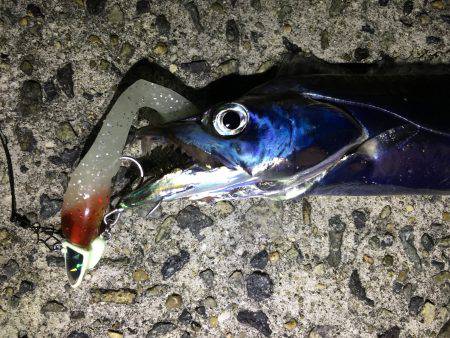 爆釣の武庫一へ!