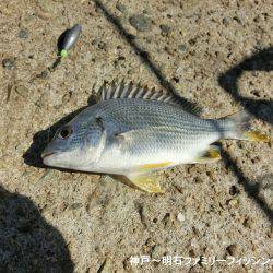 台風通過直後は行くもんじゃない