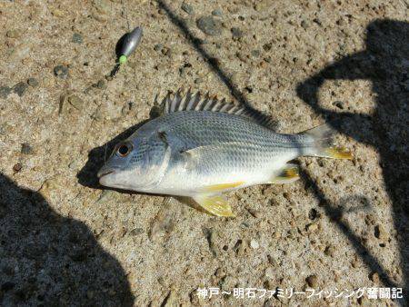 台風通過直後は行くもんじゃない