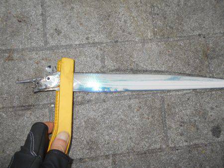 早朝のタチウオ。