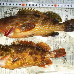 寒くなって釣れなくなったと思ったヤツが！