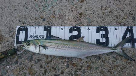 トリプルスリー？達成❗