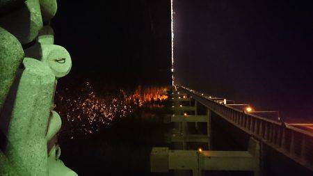 サーベルフィッシュ