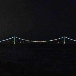 ようやくゲット✨