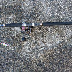 ひさびさの大物