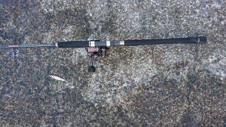 ひさびさの大物