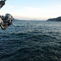 波と風がある日の秋イカ