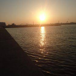 タチウオからのクエ