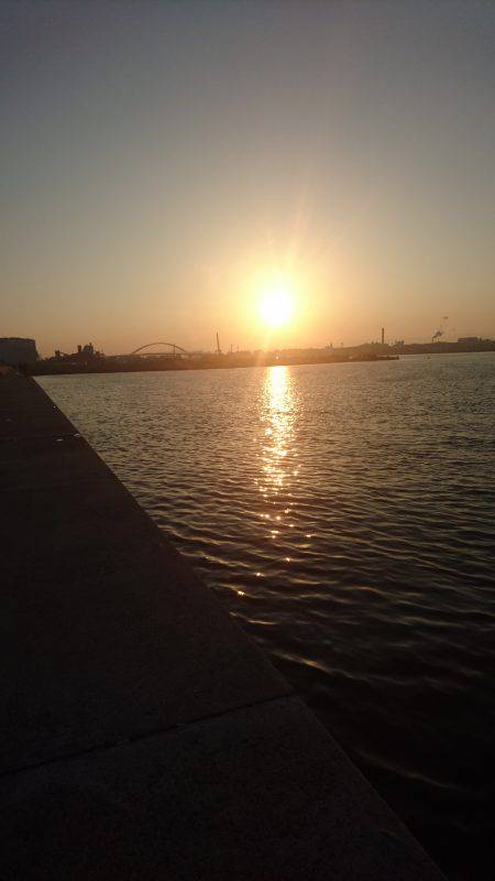 タチウオからのクエ