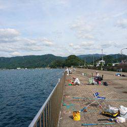 ベイトショアジギ