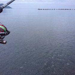 今季秋イカ初のサーフへ