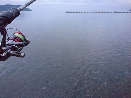 今季秋イカ初のサーフへ