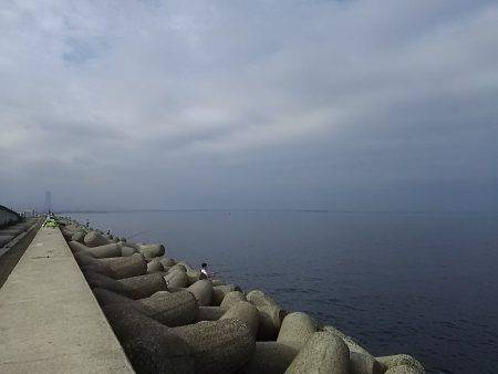 貝塚人工島でアオリイカ2杯キャッチ