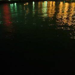 キビレに癒されて