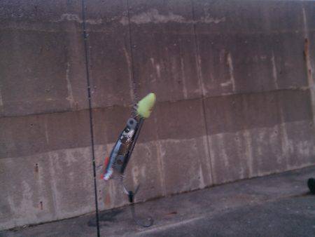 オンリージャパニーズ