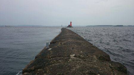 型が落ちてきたガシラポンポン