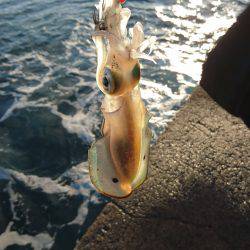 大うねりに苦戦