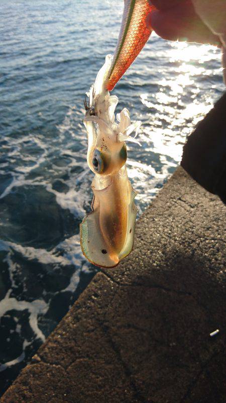 大うねりに苦戦