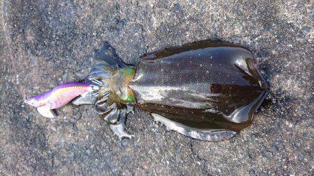 大会余波の混雑