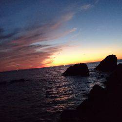 条件良くても渋い