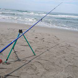 キスフィーバー