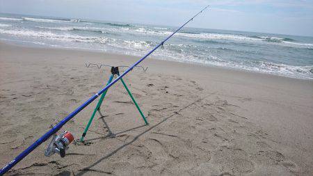 キスフィーバー