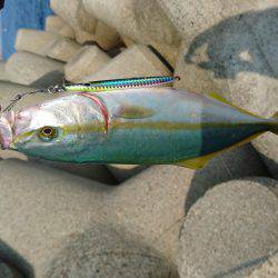 ショアジギング