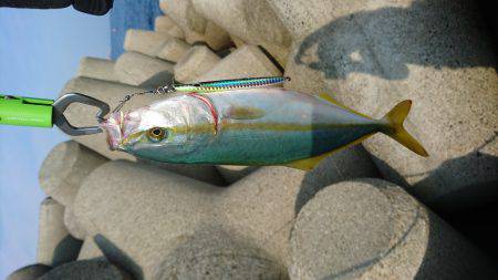 ショアジギング