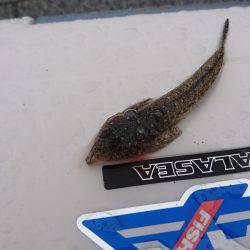 嵐の中でも釣り